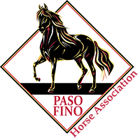Paso Fino Horses for Sale